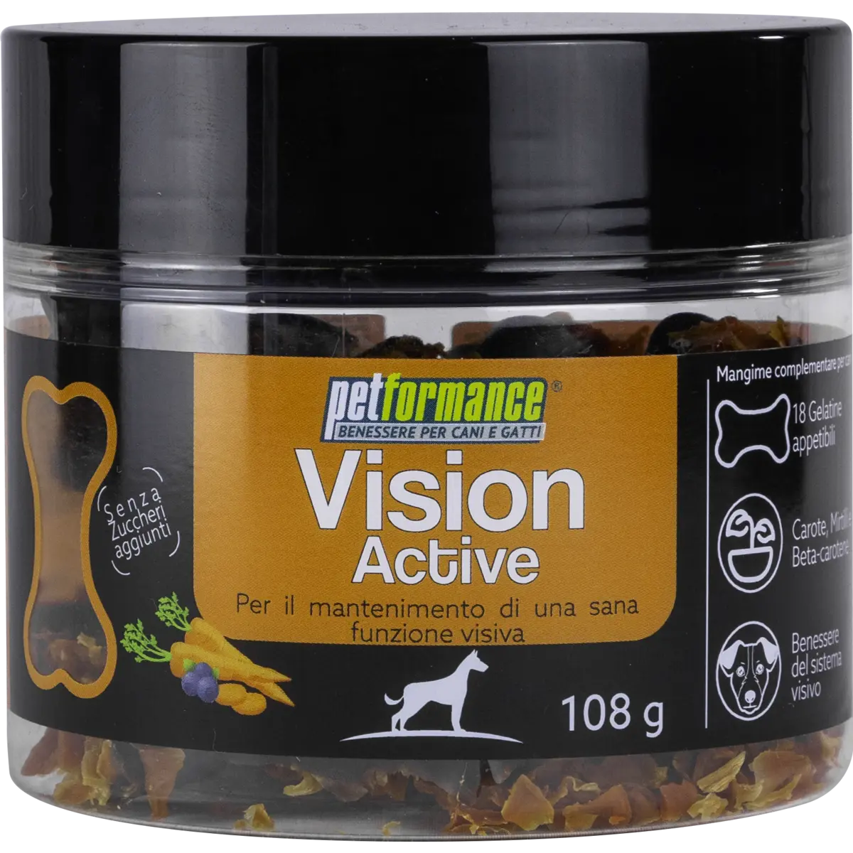 vision-active-01